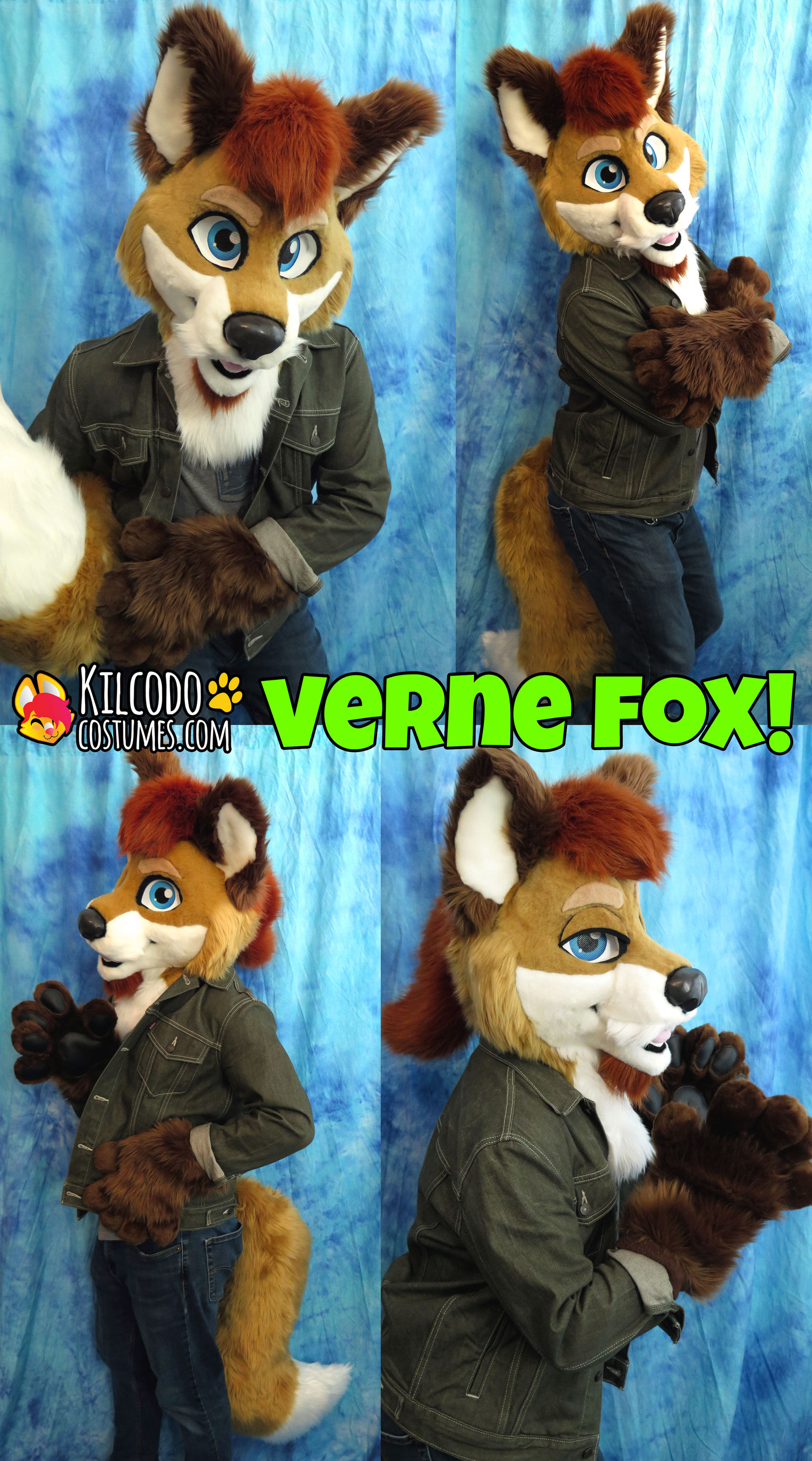 Peppin FoxCoon